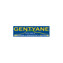 Gentyane