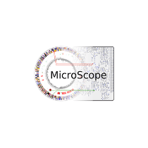 MicroScope