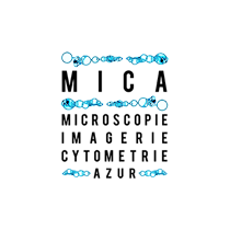 Microscopie imagerie cytomtrie Azur (MICA)