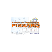 PISSARO