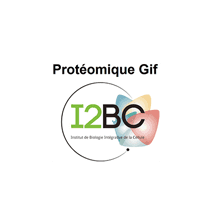 Protéomique-Gif