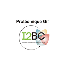 Protomique-Gif