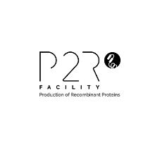 Production de protines recombinantes (P2R)