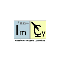 Imagerie et cytomtrie (ImCy)