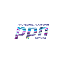 Plateforme protéomique Necker (PPN)