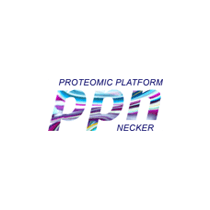 Plateforme protomique Necker (PPN)