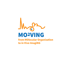 Molecular organization to in vivo imaging (MO2VING)