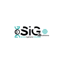 Service d'ingnierie gntique bactrienne (SIG.b)