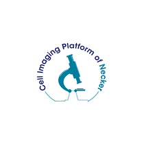 Plateforme d’imagerie cellulaire de la SFR Necker
