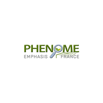 Phenome-Emphasis