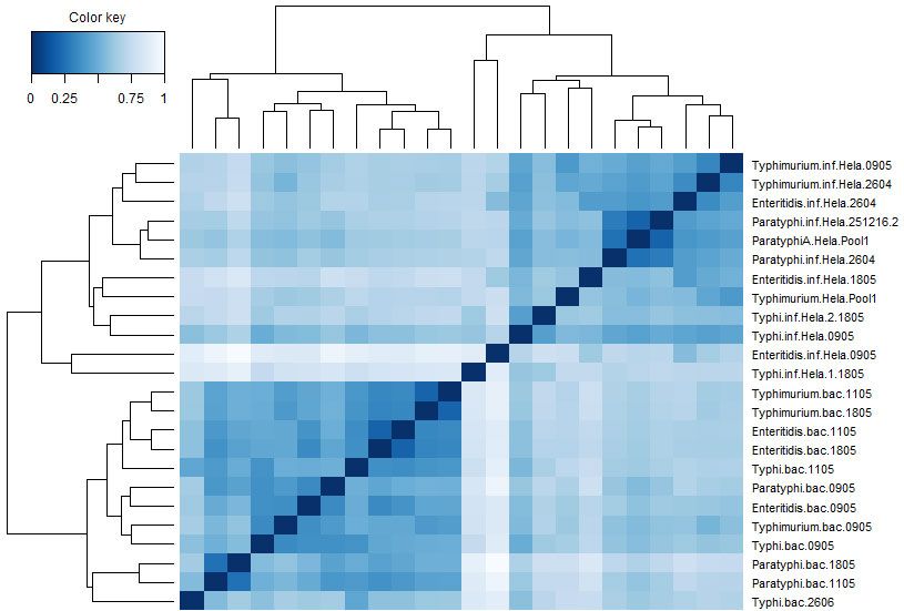 <hr>Heatmap représentant les gènes les plus différentiellement exprimés pour une diversité de bactéries.