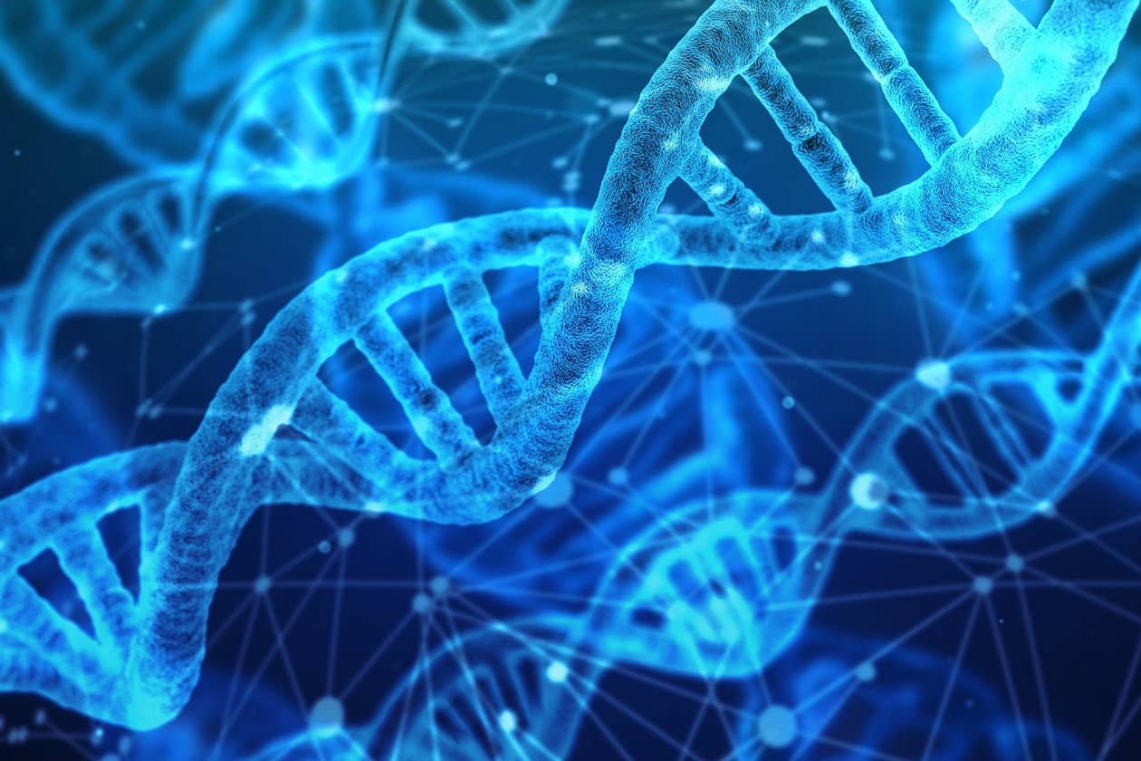 <hr>Annotation et analyse comparative de génomes ou métagénomes de microorganismes procaryotes.