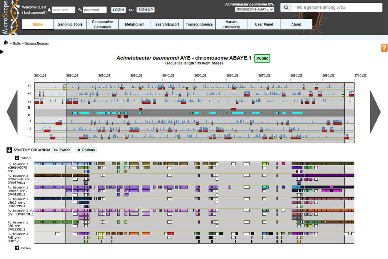 <hr>Interface web de la plateforme MicroScope, navigateur de génome avec carte de synténie.