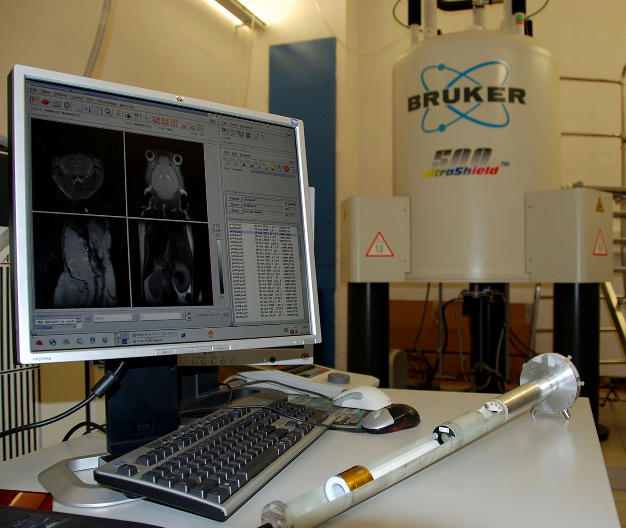 <hr>Bruker Avance 500WB 11.75T vertical pour l’exploration du système nerveux central par IRM et SRM chez des modèles rongeurs de pathologies humaines.