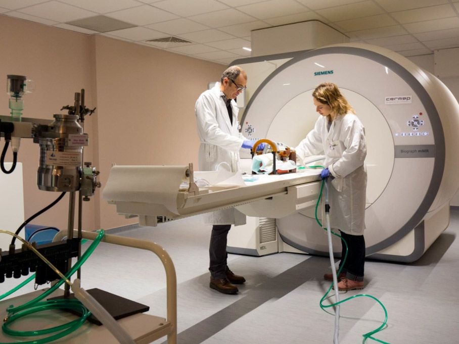 <hr>Préparation d’un protocole préclinique sur le TEP/IRM.
