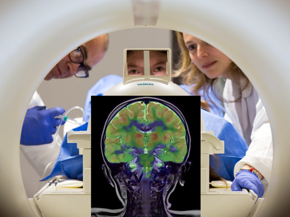 <hr>Acquisition simultanée d'une image moléculaire, fonctionnelle et anatomique sur le TEP/IRM du CERMEP.