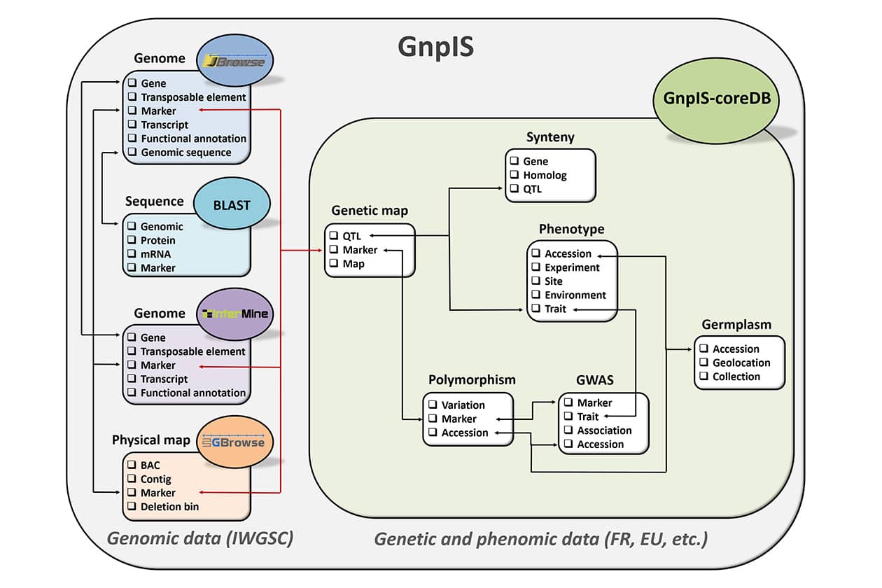 <hr>Vue conceptuelle du système d’information GnpIS.