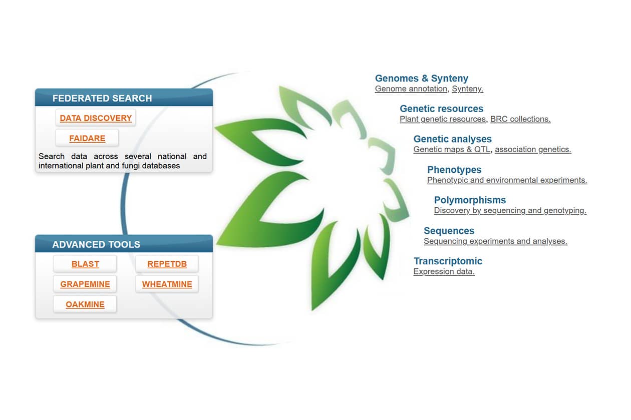 <hr>Portail de recherche des données et outils de la plateforme.