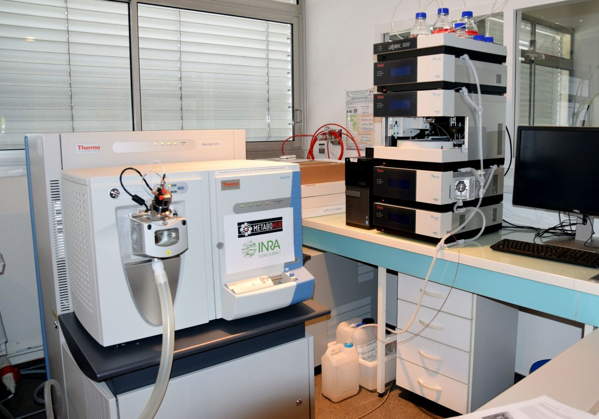 <hr>La spectrométrie de masse à haute résolution est utilisée pour la découverte de marqueurs métabolites de performance végétale.