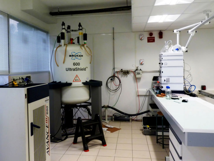 <hr>LC-RMN (HPLC Agilent et RMN 600 MHz Bruker).