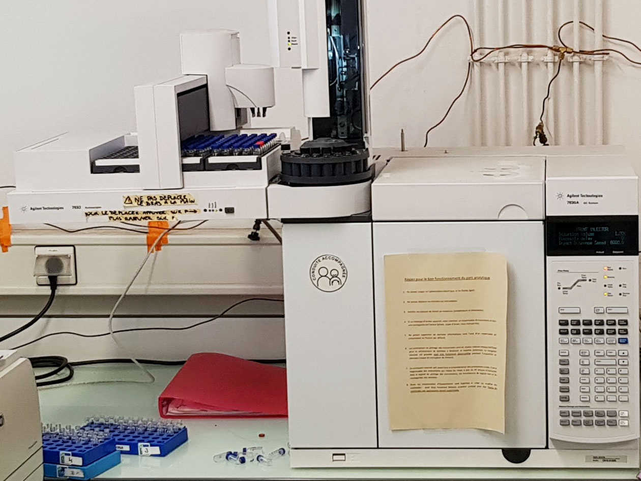 <hr>GC-MS pour l’analyse de lipides.