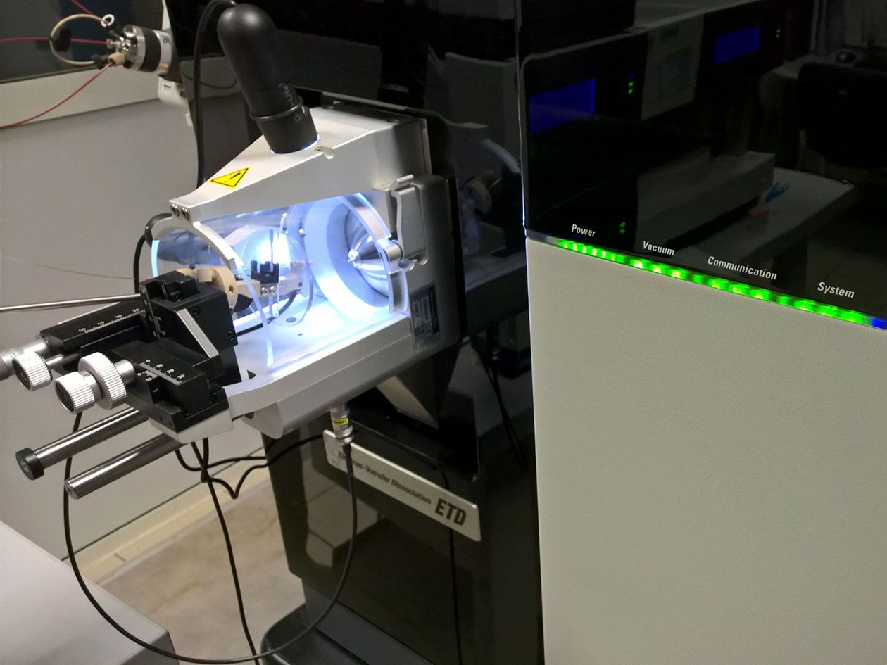 <hr>Spectromètre de masse haute résolution avec ETD pour l’analyse de mélanges protéiques complexes et modifications post-traductionnelles.