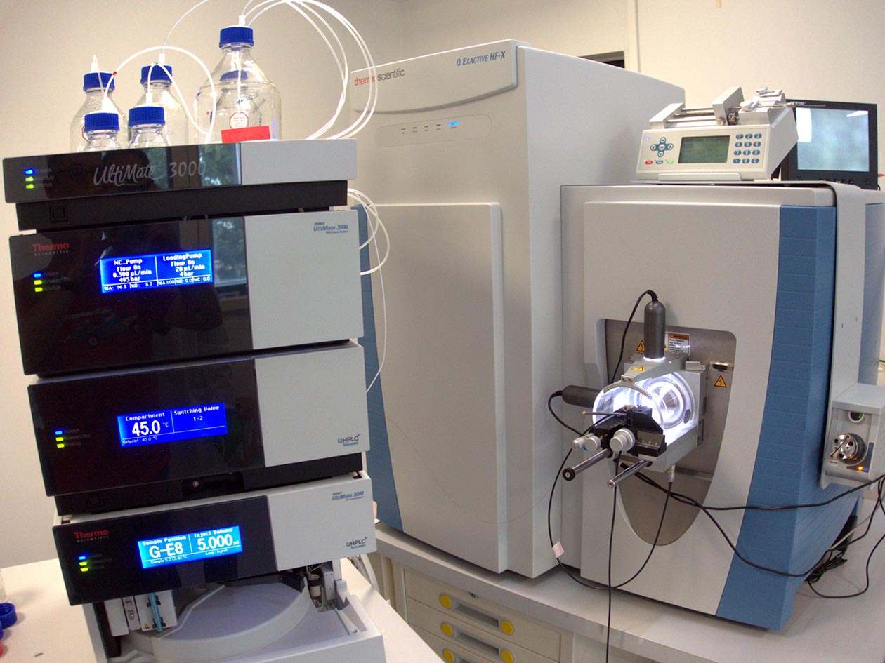 <hr>Couplage nanoLC-MS/MS haute résolution pour l’analyse globale ou ciblée de mélanges protéiques très complexes.