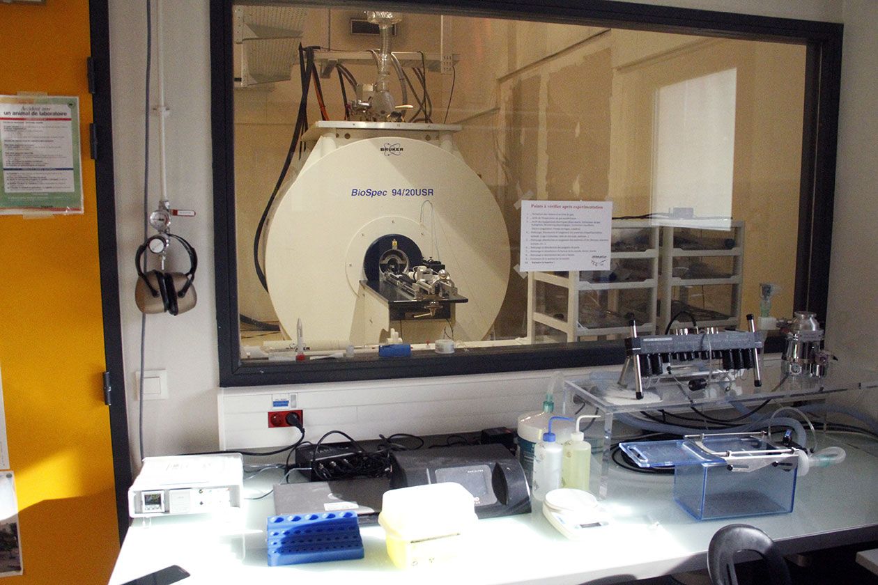<hr>IRM Bruker Biospec 9420 avec cryosonde souris.