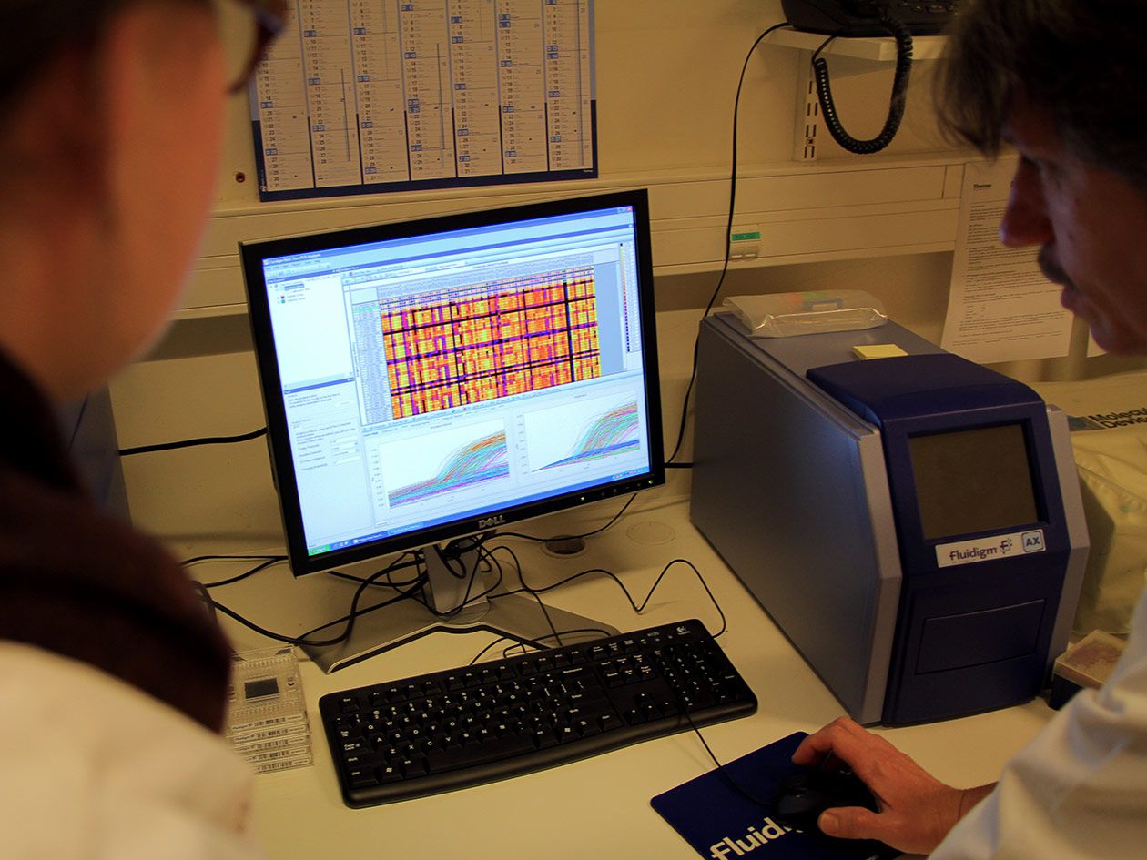 <hr>Visualisation des résultats d'une analyse de qPCR à haut débit.