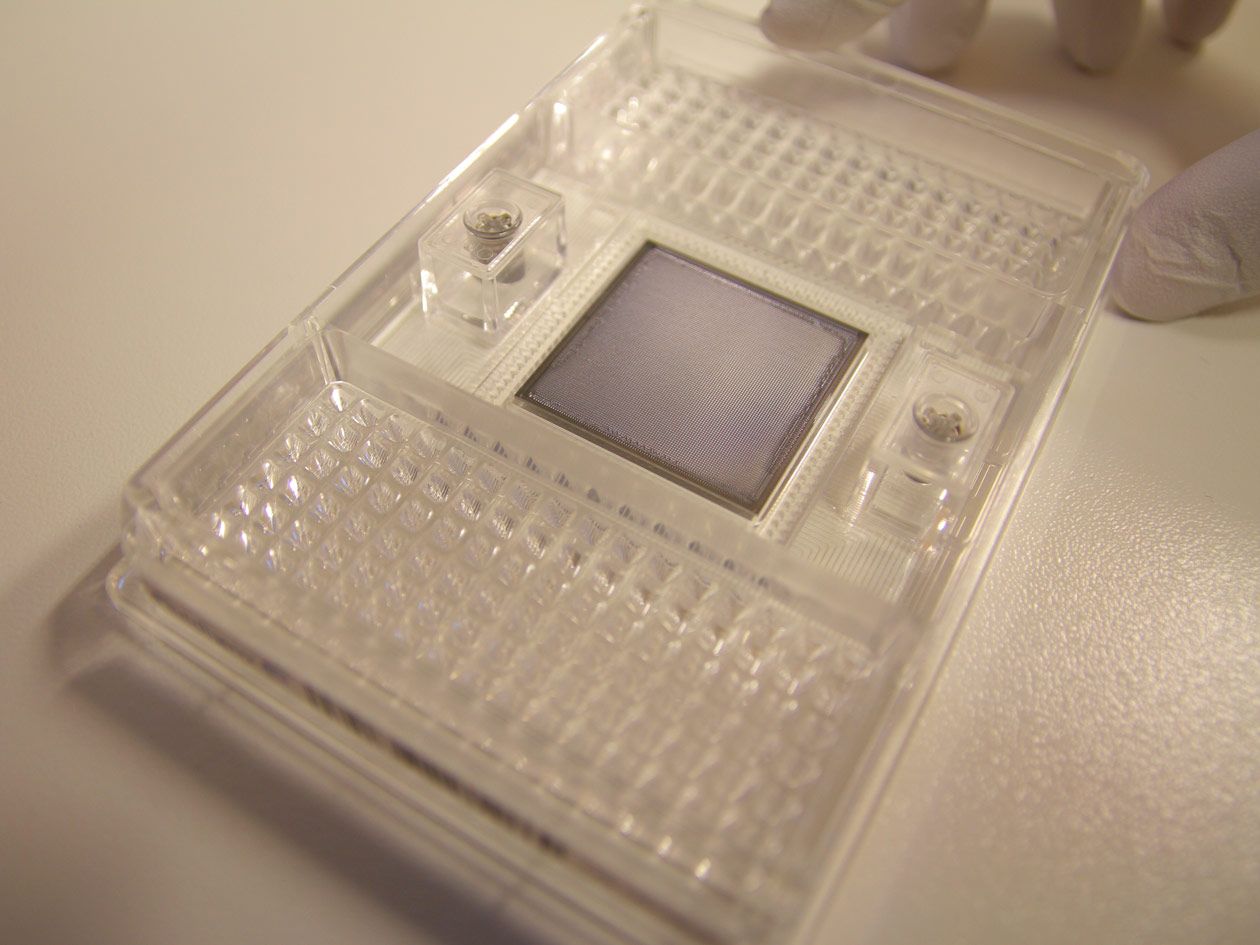 <hr>Puce de qPCR à haut débit permettant l’analyse de 96 gènes sur 96 échantillons, soit l’équivalent de 9216 qPCR simultanées.