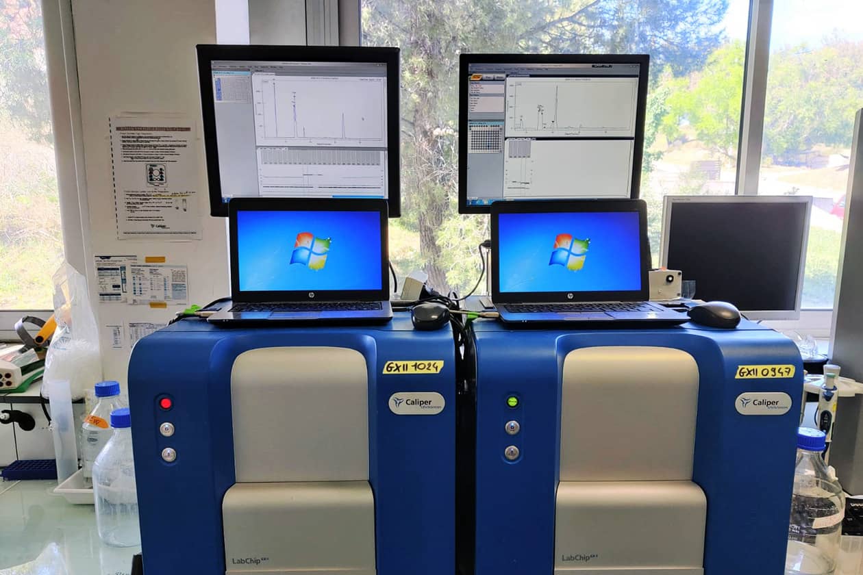 <hr>Instrument LabChip GXII PerkinElmer pour l’analyse par électrophorèse capillaire des protéines purifiées.
