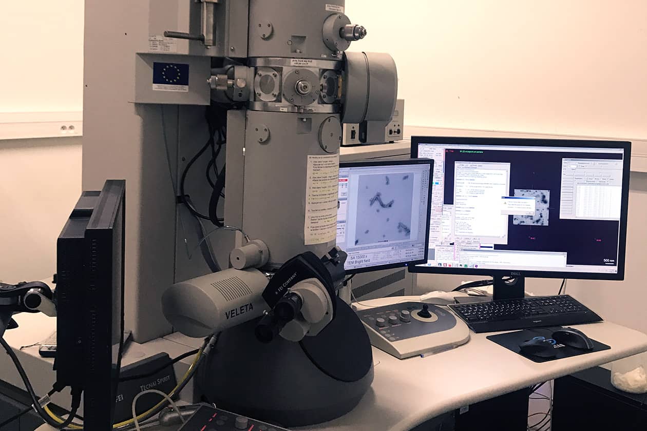 <hr>Microscope FEI Tecnai 12 G2 120 kV équipé d'une caméra K2 Gatan pour la collecte de données à partir d'échantillons vitrifiés sur grilles de cryo-EM.