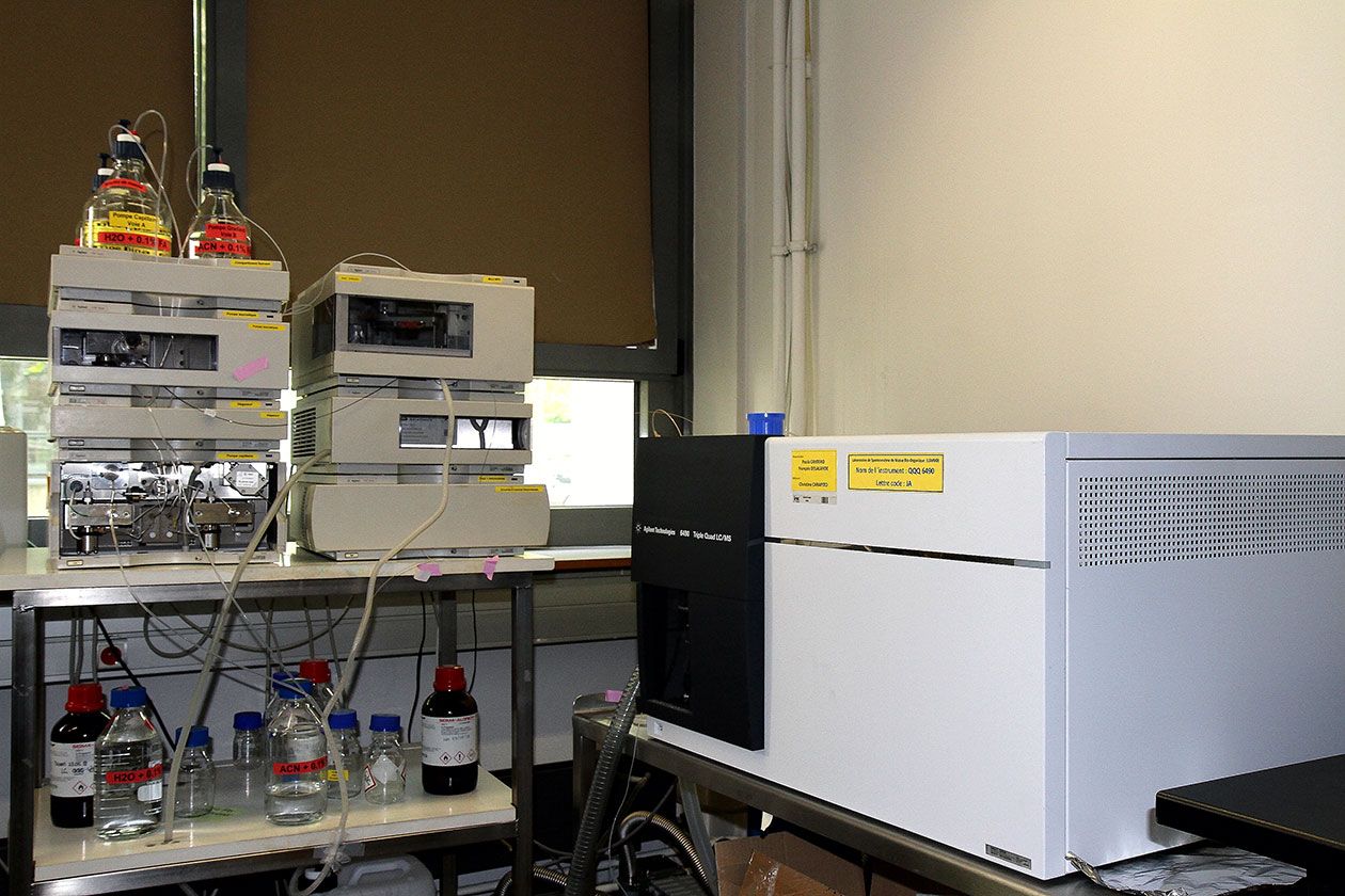 <hr>QQQ 6490 (Agilent Technologies).