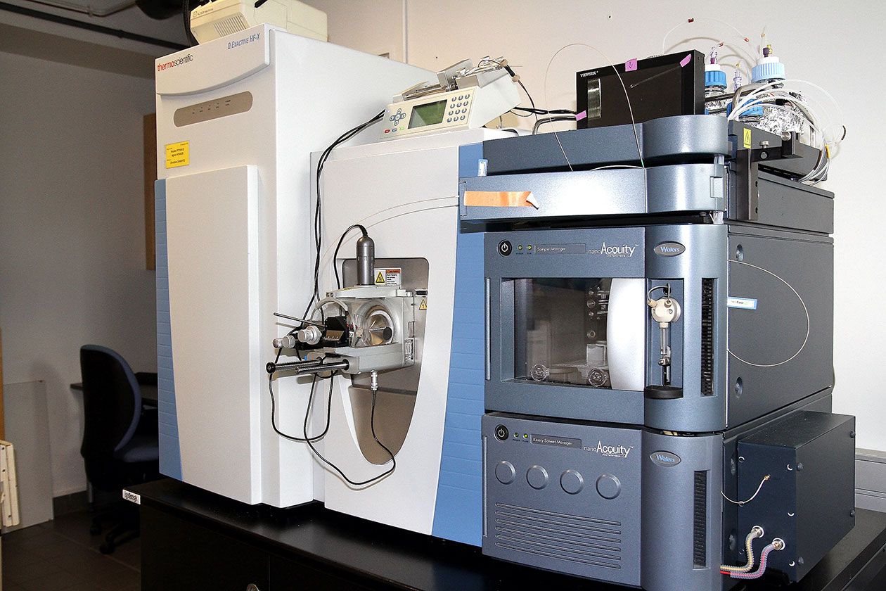 <hr>Q-Exactive HF-X (Thermo Fisher Scientific).