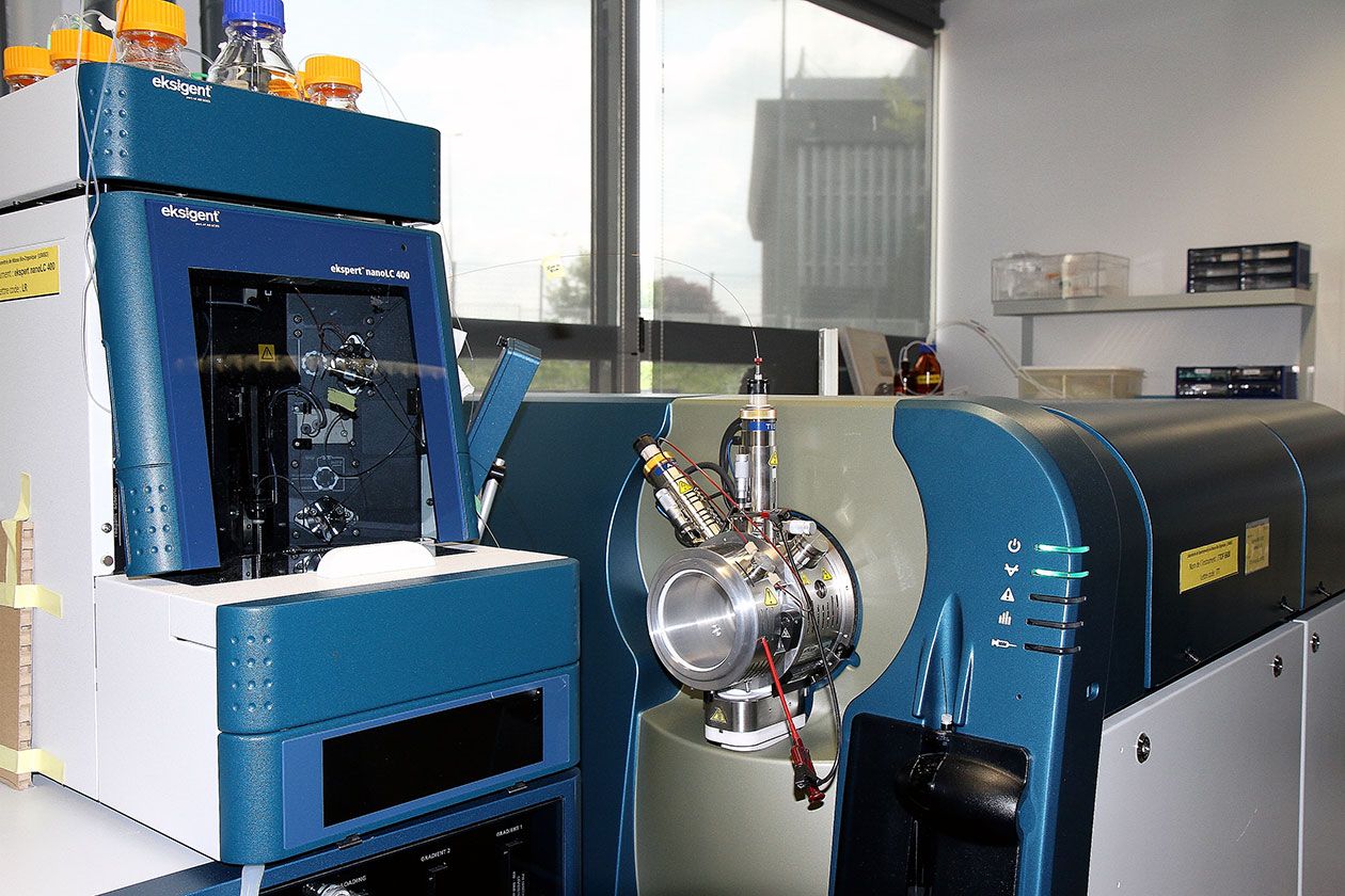 <hr>Triple TOF 6600 (Sciex).