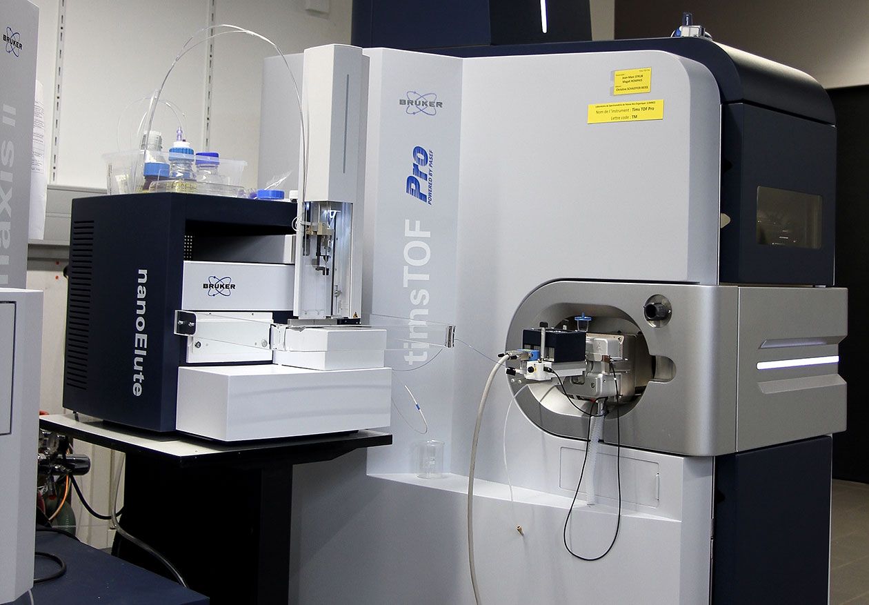 <hr>timsTOF Pro couplé à un nanoElute (Bruker).