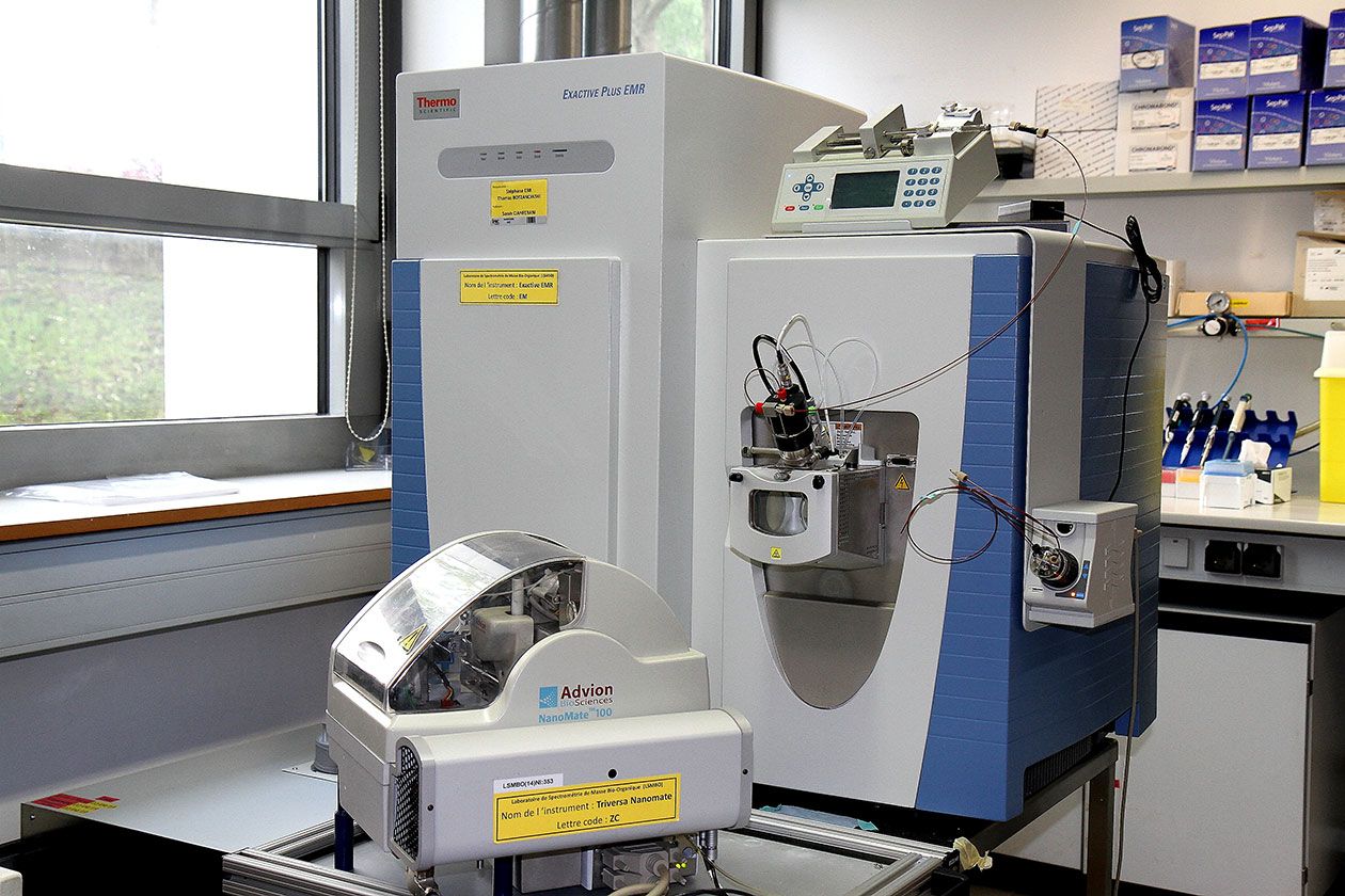 <hr>Orbitrap Exactive Plus EMR (Thermo Fisher Scientific).