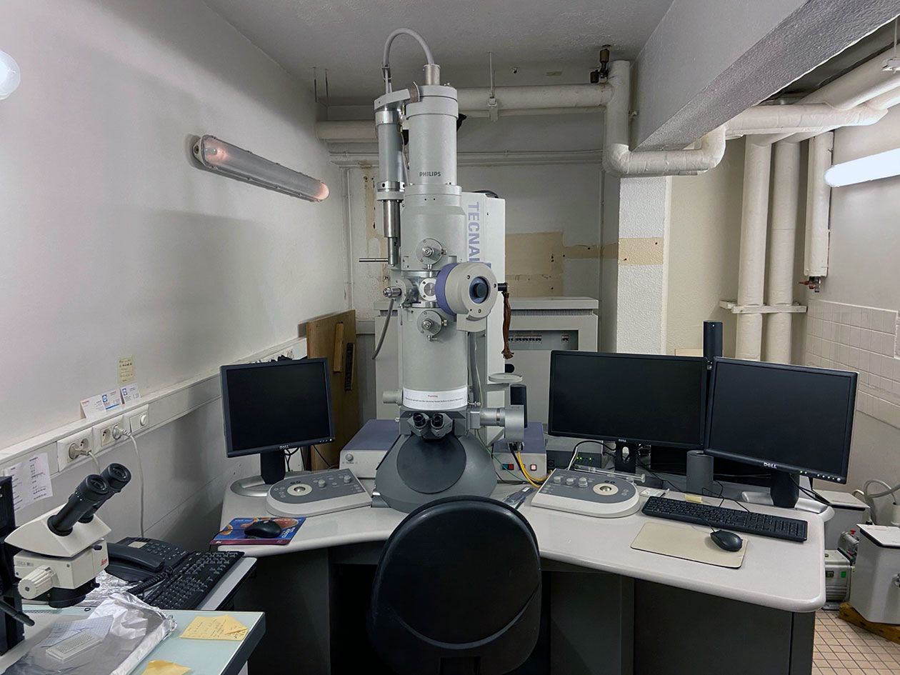 <hr>Microscope électronique Philips EM120 (IBENS).