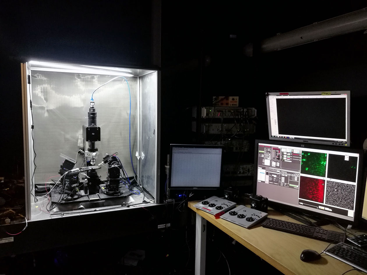 <hr>Microscope multiphotonique à balayage rapide (IBENS).