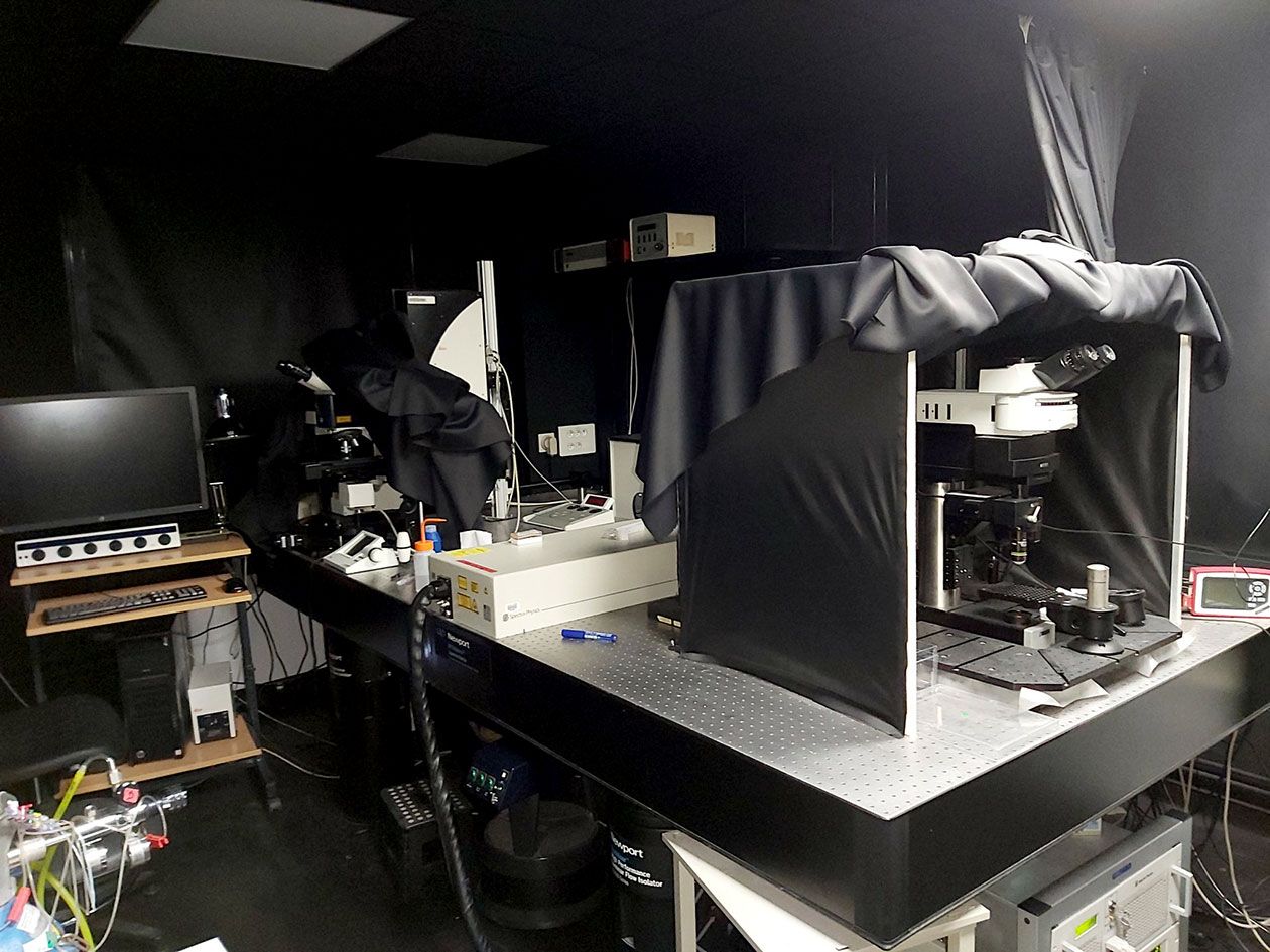 <hr>Microscope multiphotonique Scientifica et Leica (CIRB).