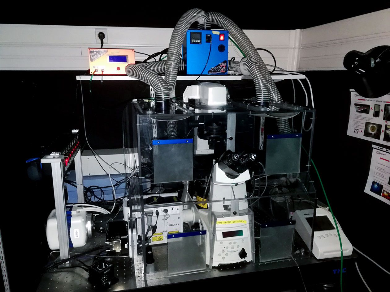 <hr>Microscope spinning disk (IBENS).