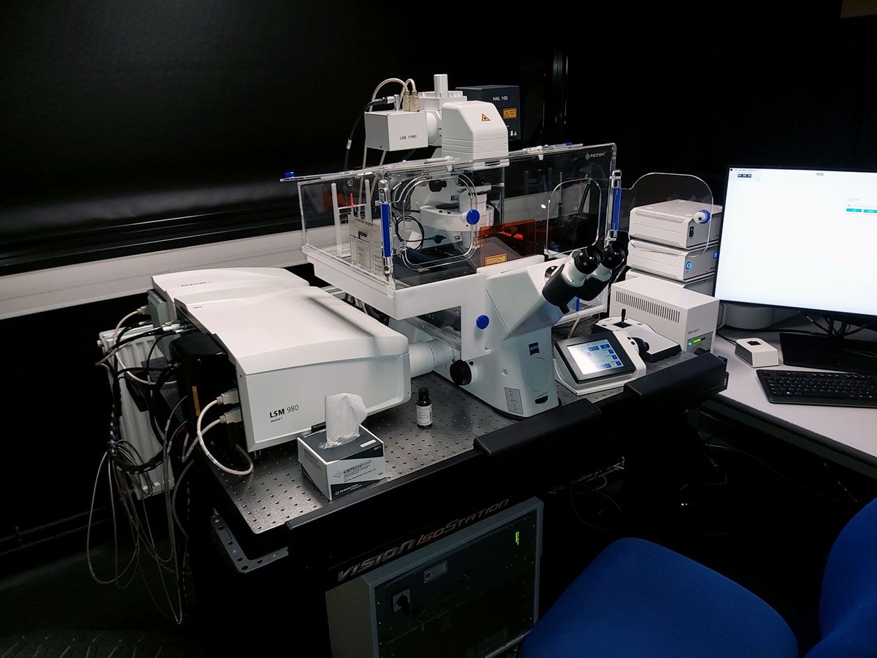 <hr>Microscope confocal Zeiss LSM980 Airyscan 2 (CIRB).