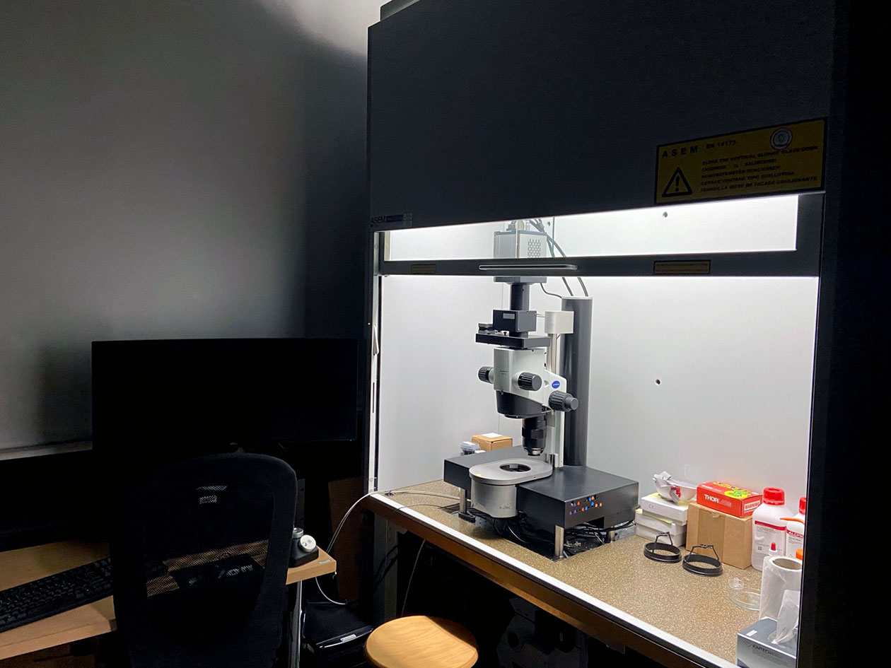 <hr>Ultramicroscope à feuille de lumière LaVision BioTec (IBENS).