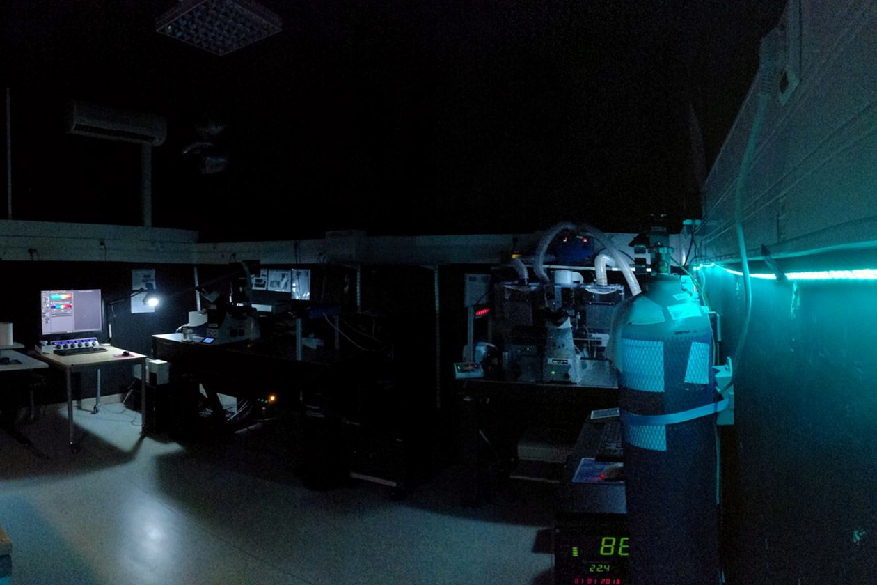 <hr>Salle de microscopie confocale de la plateforme.