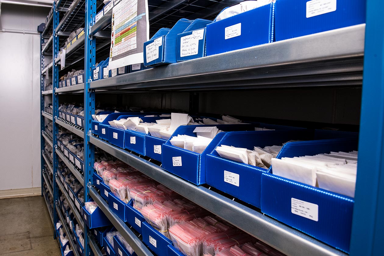 <hr>Grenier pour le stockage des populations de mutants. A ce jour environ 260 000 lignées y sont conservées.