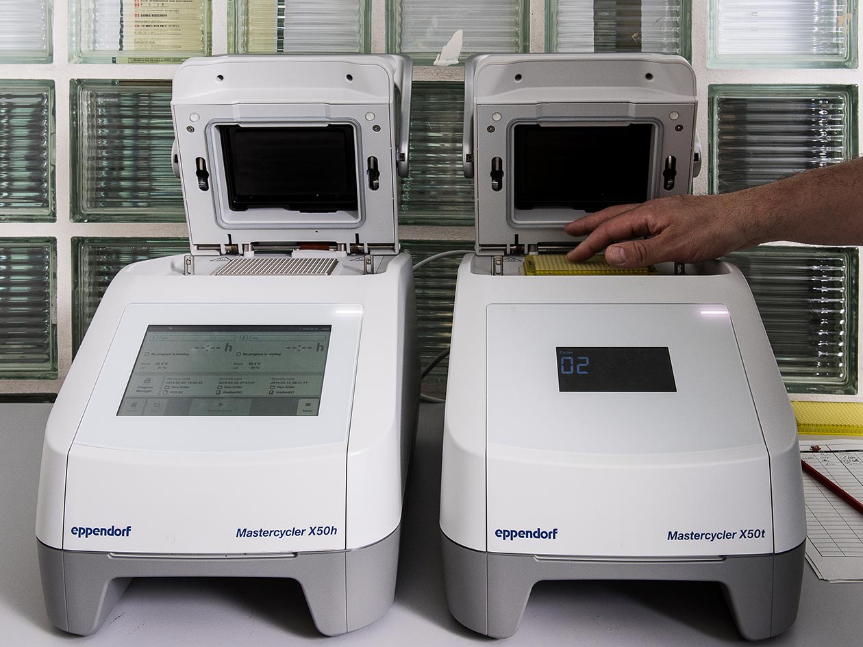 <hr>Thermocyleurs 384 puits, Eppendorf série X50.