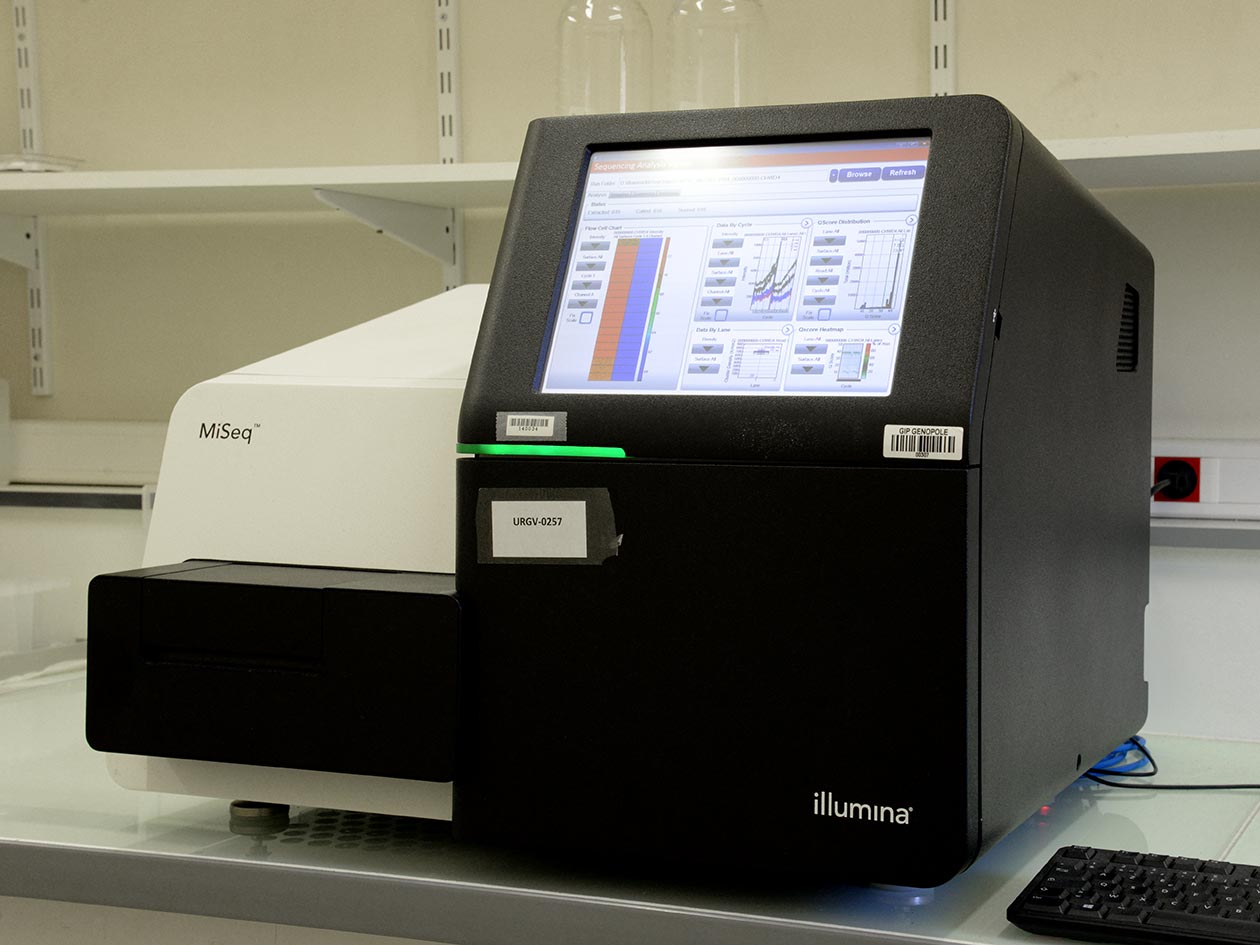 <hr>Séquenceur Miseq d’Illumina. La plateforme dispose également d’un NextSeq 500.