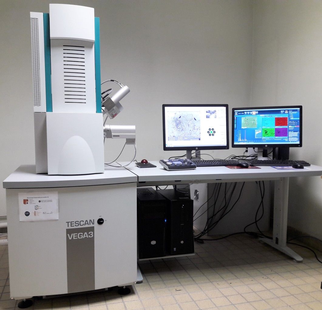 <hr>Microscope électronique à balayage 3XMU (Tescan Vega) avec détecteur EDX Oxford X-Max N 50.