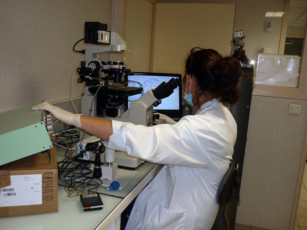 <hr>Poste de microinjection.