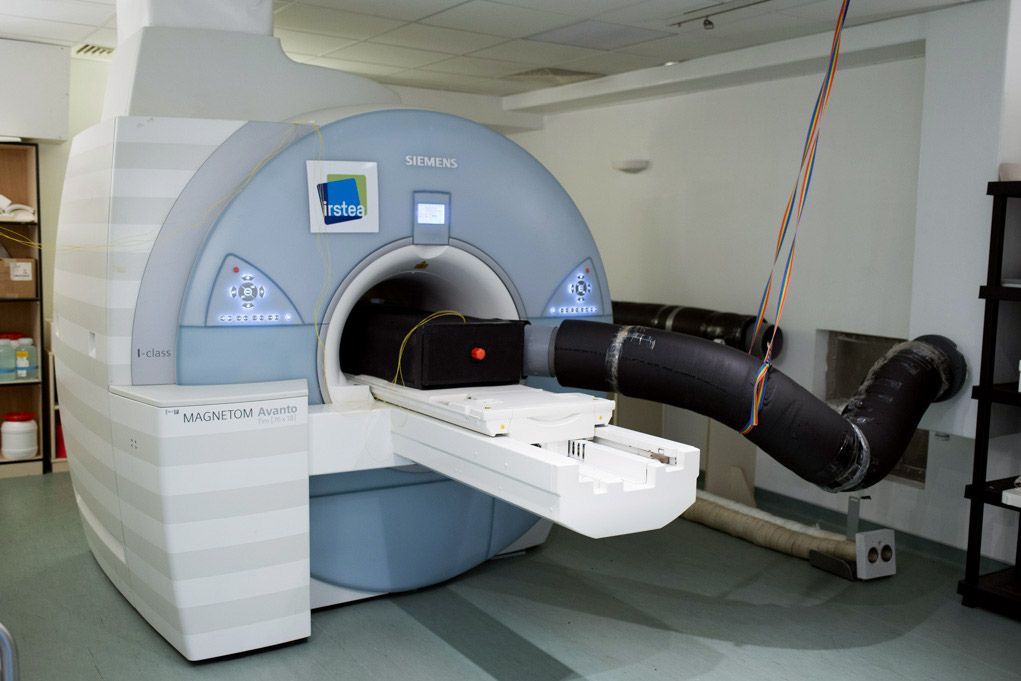 <hr>IRM 1.5T. © INRAE.